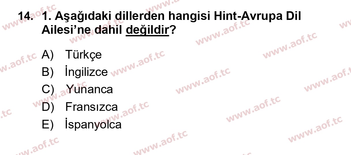 2026 Türk Dili 1 Arasınav 14. Çıkmış Sınav Sorusu