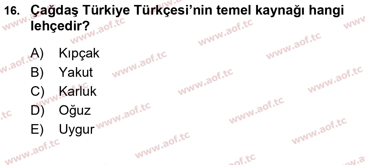 2026 Türk Dili 1 Arasınav 16. Çıkmış Sınav Sorusu