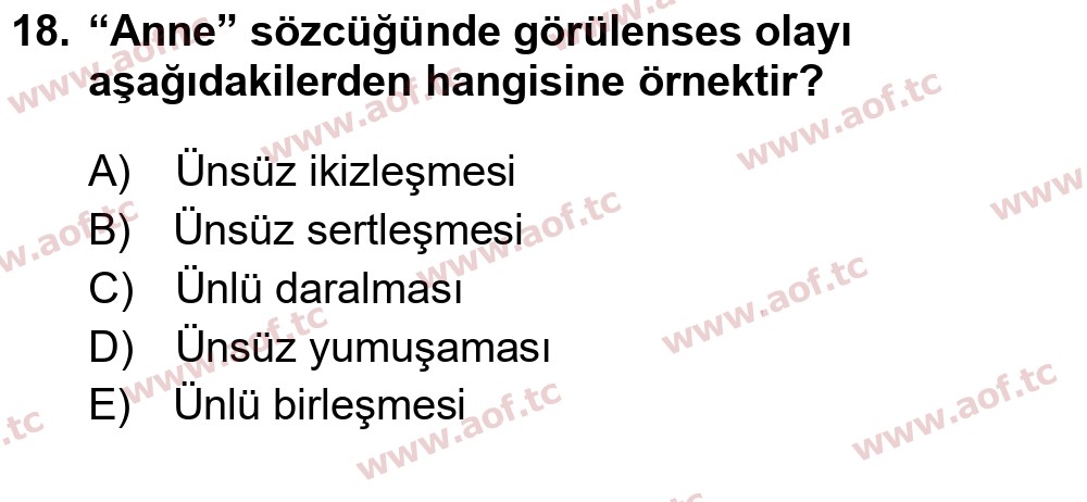 2026 Türk Dili 1 Arasınav 18. Çıkmış Sınav Sorusu