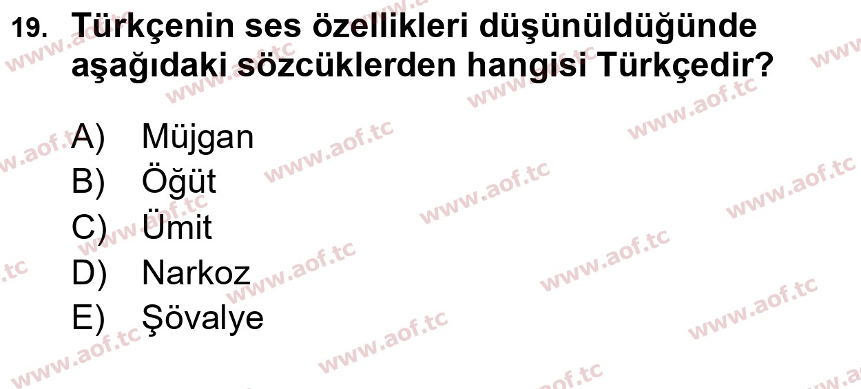 2026 Türk Dili 1 Arasınav 19. Çıkmış Sınav Sorusu