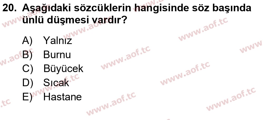 2026 Türk Dili 1 Arasınav 20. Çıkmış Sınav Sorusu