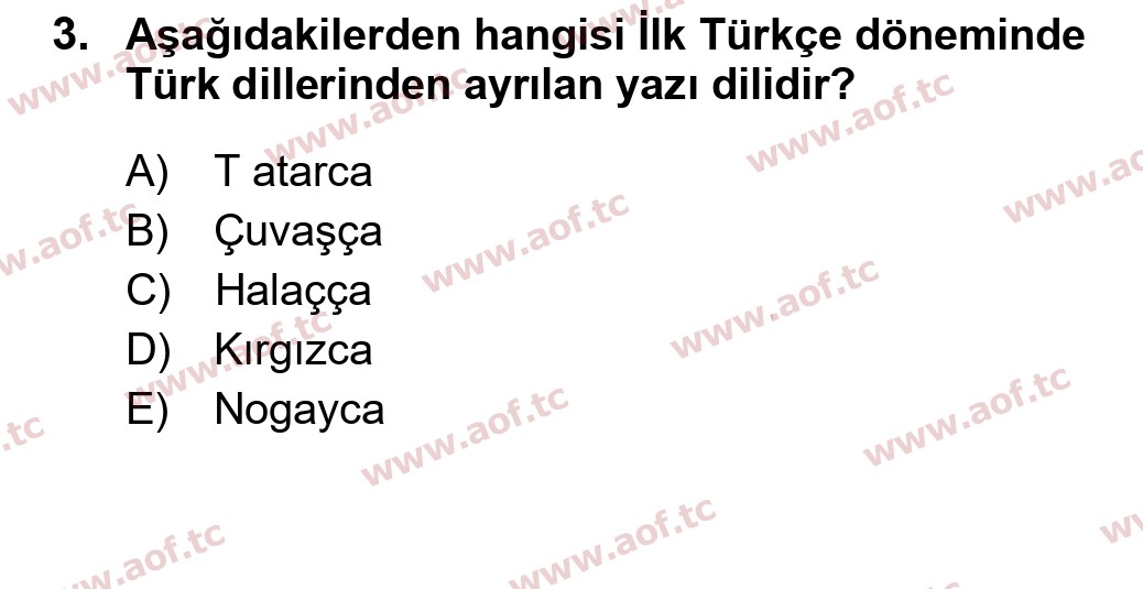 2026 Türk Dili 1 Arasınav 3. Çıkmış Sınav Sorusu