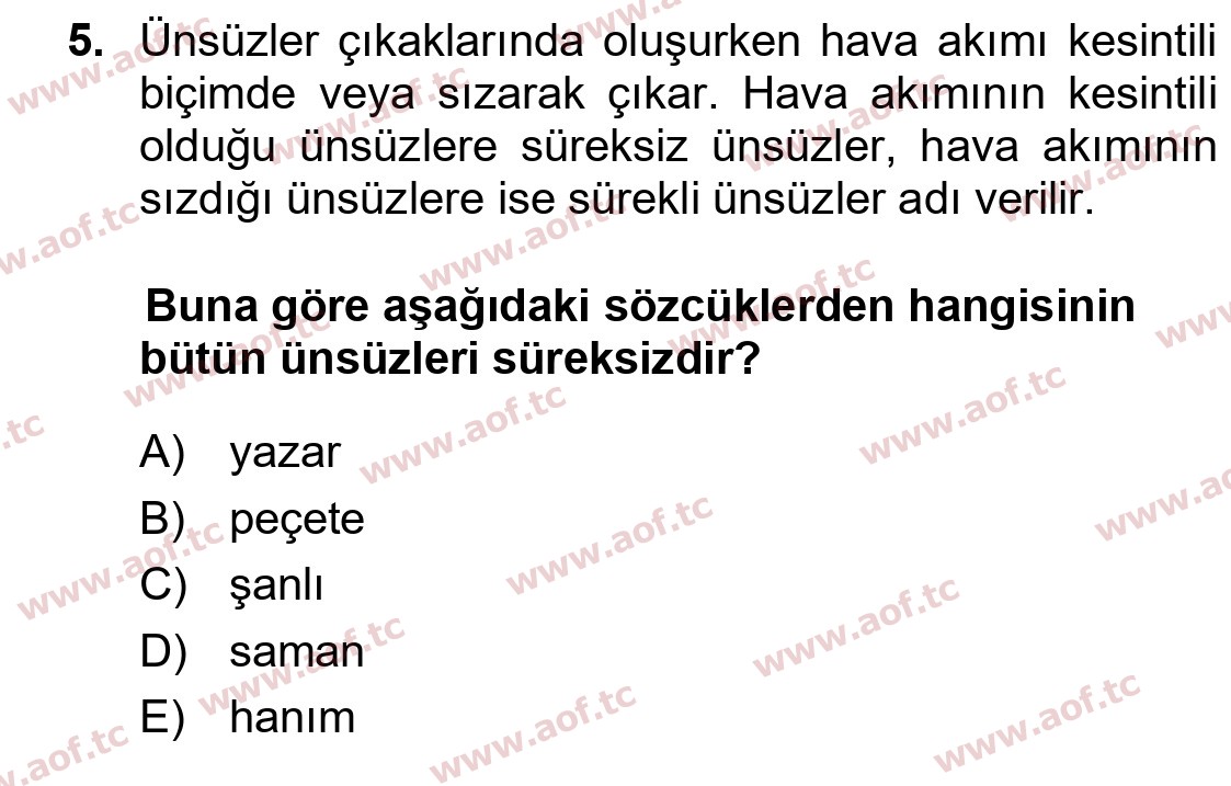 2026 Türk Dili 1 Arasınav 5. Çıkmış Sınav Sorusu