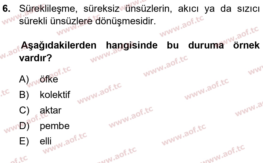 2026 Türk Dili 1 Arasınav 6. Çıkmış Sınav Sorusu
