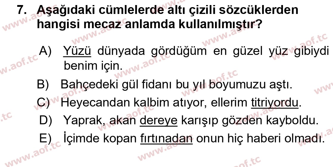 2026 Türk Dili 1 Arasınav 7. Çıkmış Sınav Sorusu