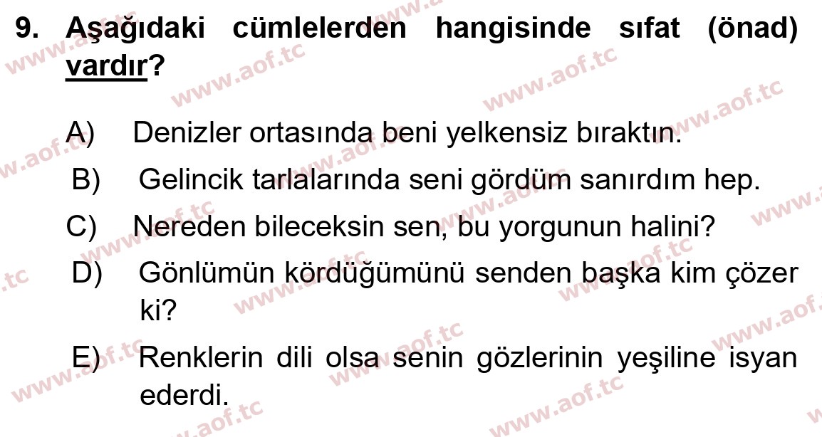 2026 Türk Dili 1 Arasınav 9. Çıkmış Sınav Sorusu