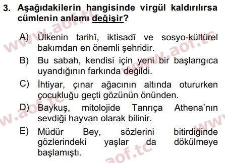 2015 Türk Dili 2 Arasınav 3. Çıkmış Sınav Sorusu