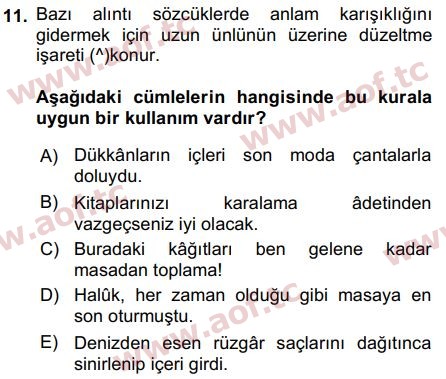 2017 Türk Dili 2 Arasınav 11. Çıkmış Sınav Sorusu