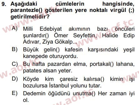 2018 Türk Dili 2 Arasınav 9. Çıkmış Sınav Sorusu
