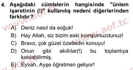 2019 Türk Dili 2 Arasınav 4. Çıkmış Sınav Sorusu