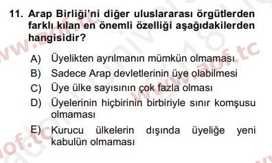 2018 Uluslararası Örgütler Yaz Okulu 11. Çıkmış Sınav Sorusu