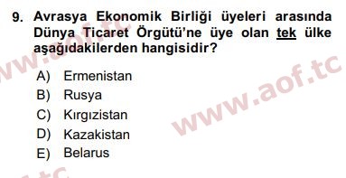 2018 Uluslararası Örgütler Yaz Okulu 9. Çıkmış Sınav Sorusu