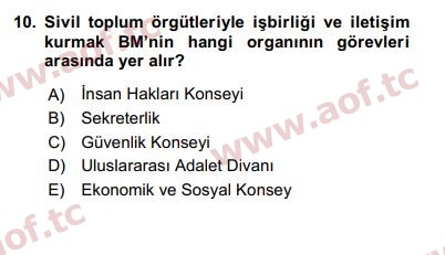 2019 Uluslararası Örgütler Arasınav 10. Çıkmış Sınav Sorusu