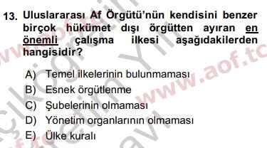 2019 Uluslararası Örgütler Yaz Okulu 13. Çıkmış Sınav Sorusu