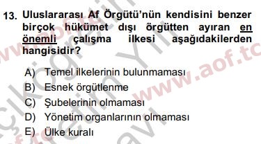 2019 Uluslararası Örgütler Yaz Okulu 13. Çıkmış Sınav Sorusu