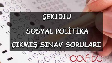 ÇEK101U Sosyal Politika Çıkmış Sınav Soruları