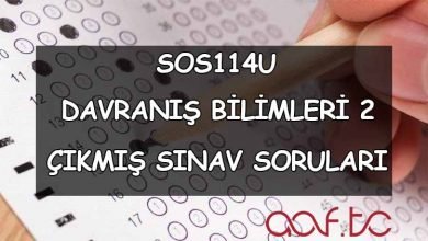 Davranış Bilimleri 2 Çıkmış Sınav Soruları