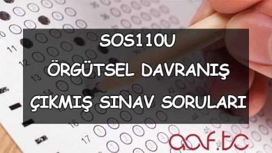 SOS110U Örgütsel Davranış Çıkmış Sınav Soruları