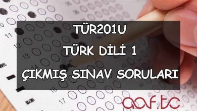 Türk Dili 1 Çıkmış Sınav Soruları