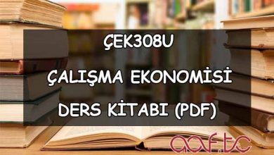 Çalışma Ekonomisi ( ÇEK308U ) Ders e-Kitabı